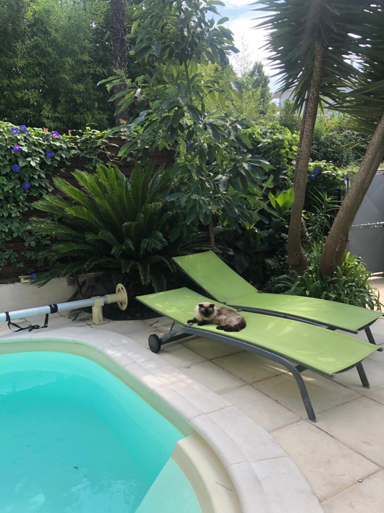 Villa Beausejour Cannes Bagian luar foto
